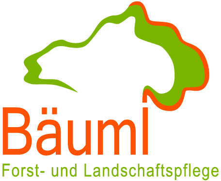 Logo Bernhard Bäuml